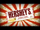 HERSHEY'S CANDY CANE MINT CHOCOLATE [CHRISTMAS ANIMAL REVIEWS]