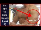 Six Tips To Build Muscle ( Part 1) ll How To Build Muscle