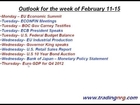 Silver And Gold Price Forecast for February 11-15 2013 by Trading NRG