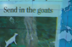 Headlines at 8:30: Goat Herd Deployed to Clean Up Historic 