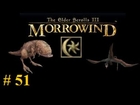 Let's Play Morrowind Part 51