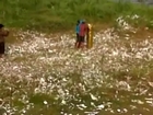 2 Boys Blown to Bits by Giant Firecracker...Aftermath and Slow Motion Included Watch Full Video