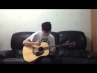 Applause (Lady Gaga) fingerstyle guitar solo - Neville Ma