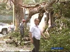 Lluvias dejan 10 viviendas y dos vehículos afectados por vientos y árboles caídos