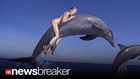 NAKED MILEY MEMES: ‘Wrecking Ball’ Singer Straddling a Dolphin, Eiffel Tower Goes Viral