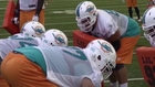 Players Divided Regarding Dolphins' Martin