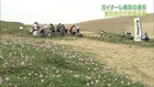 ガイナーレ鳥取　鳥取砂丘で選手が除草活動