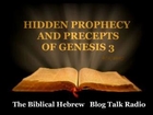 (3) HIDDEN PROPHECY AND PRECEPTS OF GENESIS 3