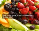 Great healthy renal diet recipes | kidney diet secrets recommended kidney diet & renal diet recipes